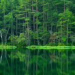 [Japan] Mishaka Pond provides a breathtaking beauty for every season.