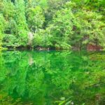 Never get muddy! Super transparent pond “Ryugakubo pond”