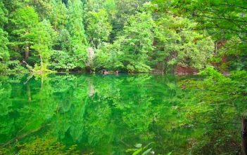 Never get muddy! Super transparent pond “Ryugakubo pond”