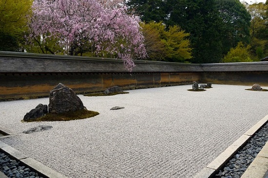 20150216-285-30-kyoto-Cherry-blossoms
