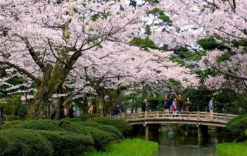 Japan’s Top 100 Cherry Blossom Spots in Chubu Region