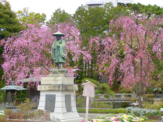 20150220-289-32-tokyo-Cherry-blossoms
