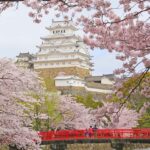 Japan’s Top 100 Cherry Blossom Spots in Kansai Region