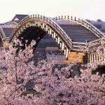 Japan’s Top 100 Cherry Blossom Spots in Chugoku and Shikoku Region