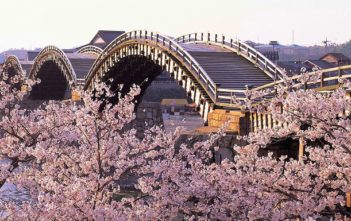 Japan’s Top 100 Cherry Blossom Spots in Chugoku and Shikoku Region