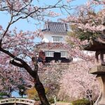 Japan’s Top 100 Cherry Blossom Spots in Okinawa and Kyushu Region